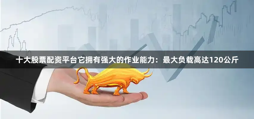 十大股票配资平台它拥有强大的作业能力：最大负载高达120公斤